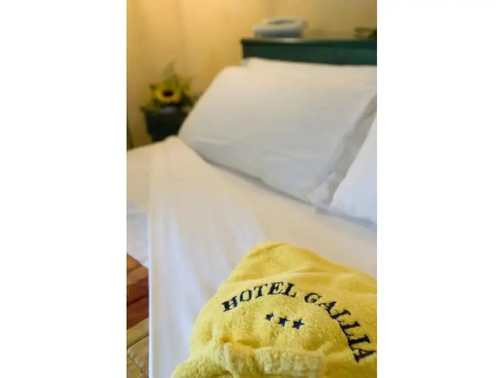 Gallia Club Hotel