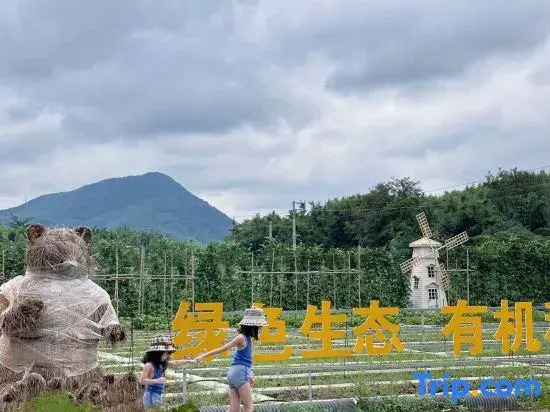 Xingzhu Retreat