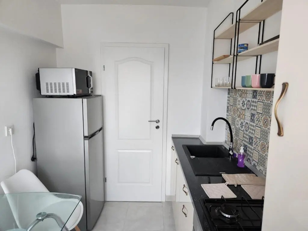 Apartament 3 camere Palas