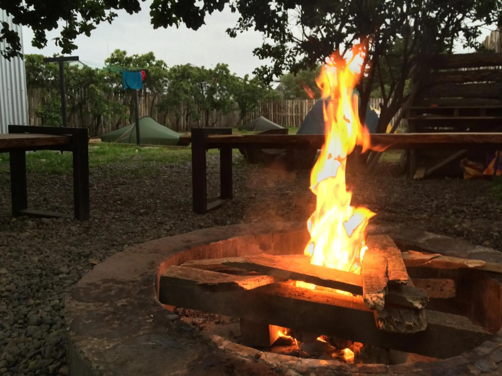 Camping Yellow Plum