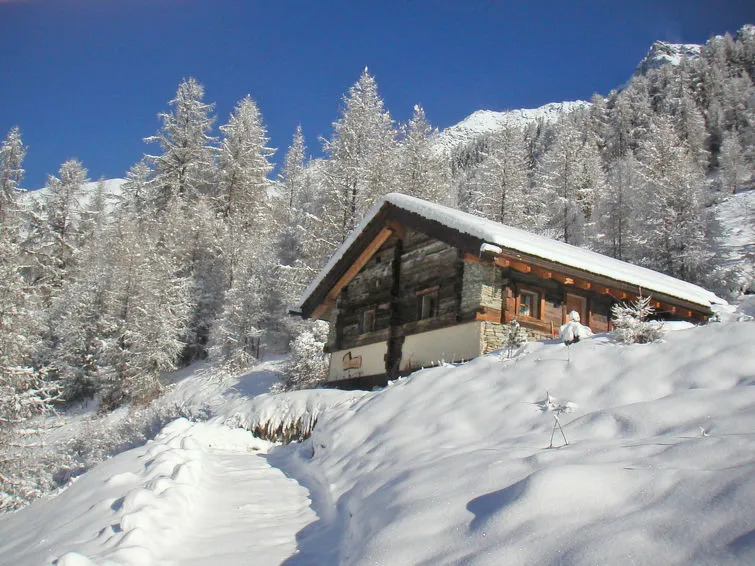 Chalet Epilobes