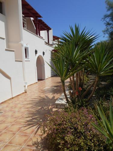 Acti Plaka Hotel