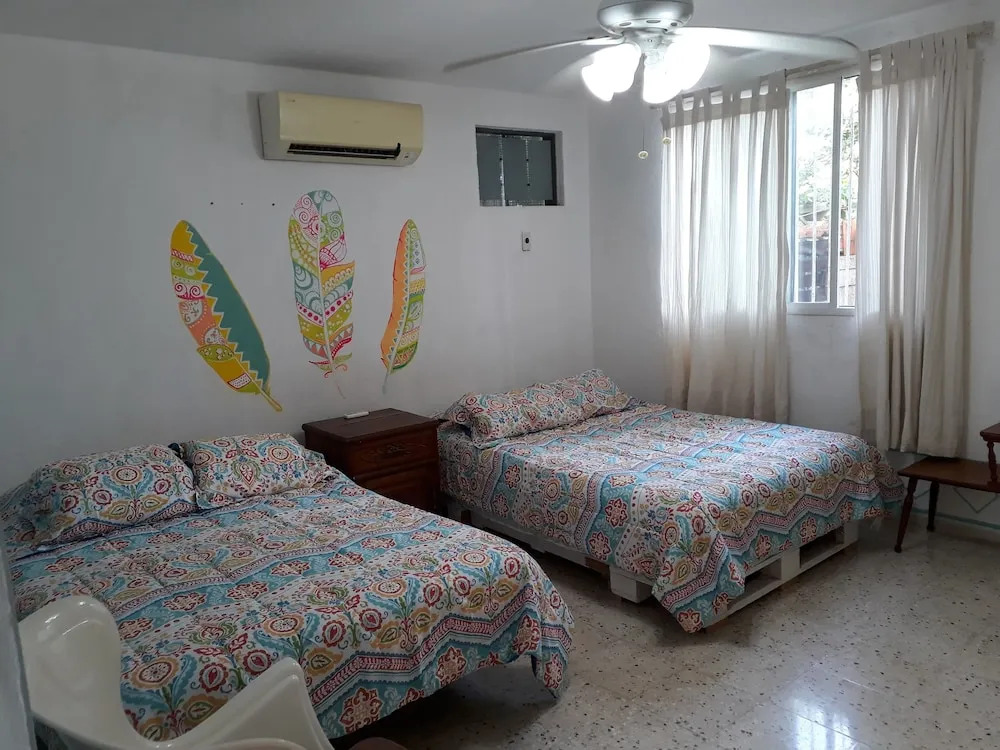 Casa MayaPlant