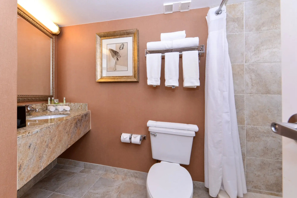 Holiday Inn Express Hotel Clearwater East - ICOT Center by IHG