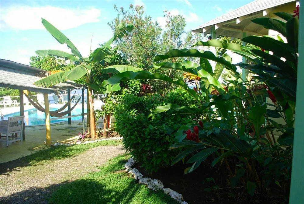 Hotel Jamaican Colors