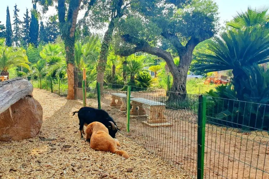 Propriete de 3 chambres avec jardin clos a Agde a 8 km de la plage