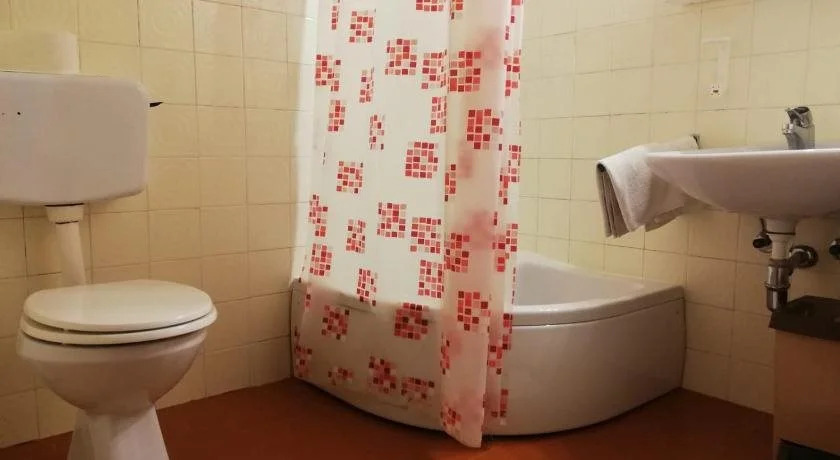 Hotel Trojane
