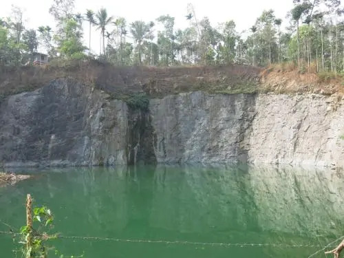 Green Grace Wayanad