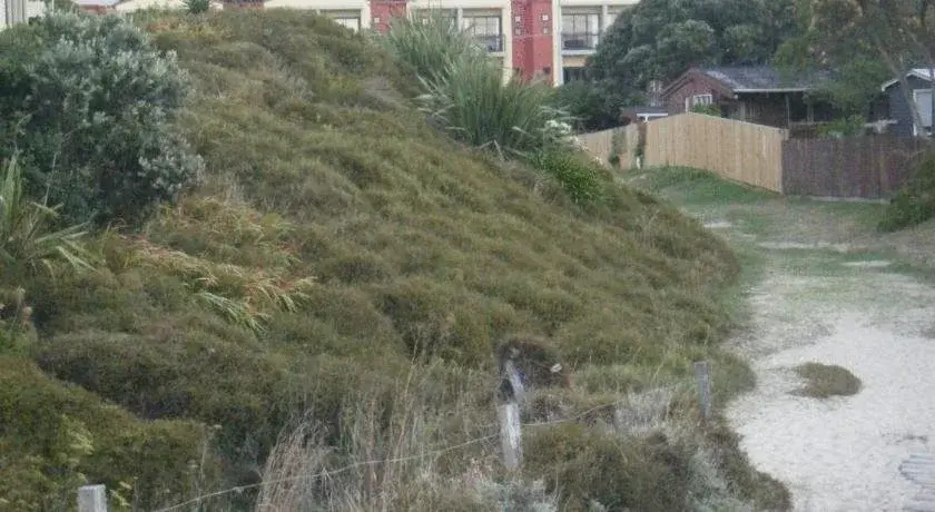 The Terraces At Ocean Beach