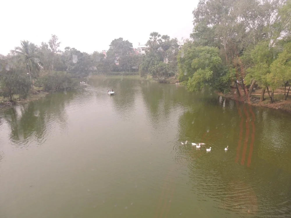 Venus Hotel Digha