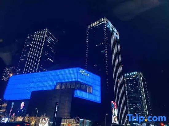 LE JU Executive Apartment (Zhengzhou Huayuan Road Grand Emporium Leiting)
