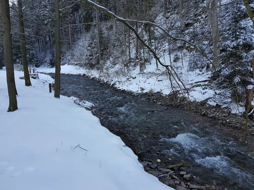 Spacious Apartment in Upper Harz near River