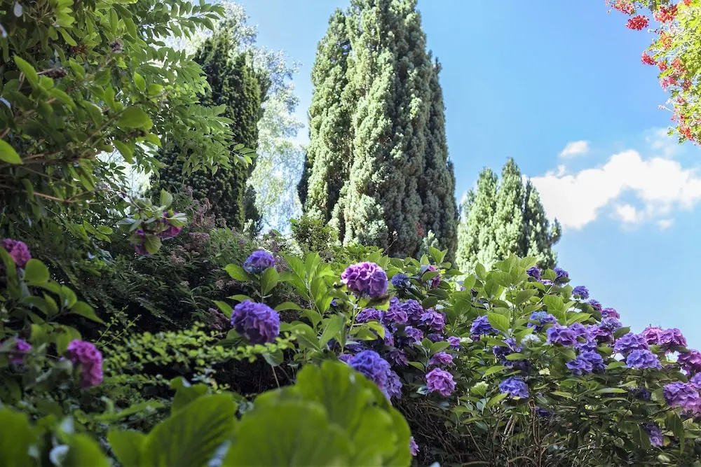 Hotel Pension Fortuna