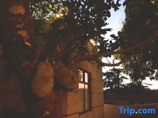Flowers like Jinmi Anning Island Inn