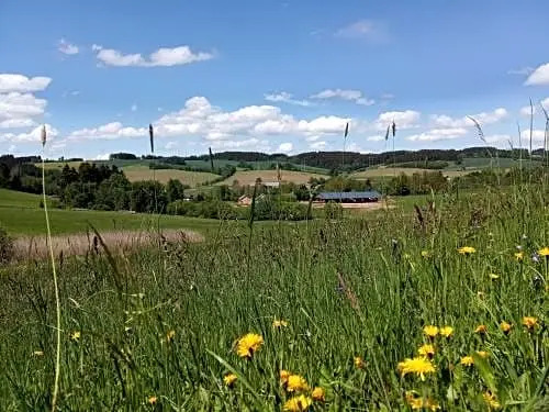 Lidmiluv Mlýn