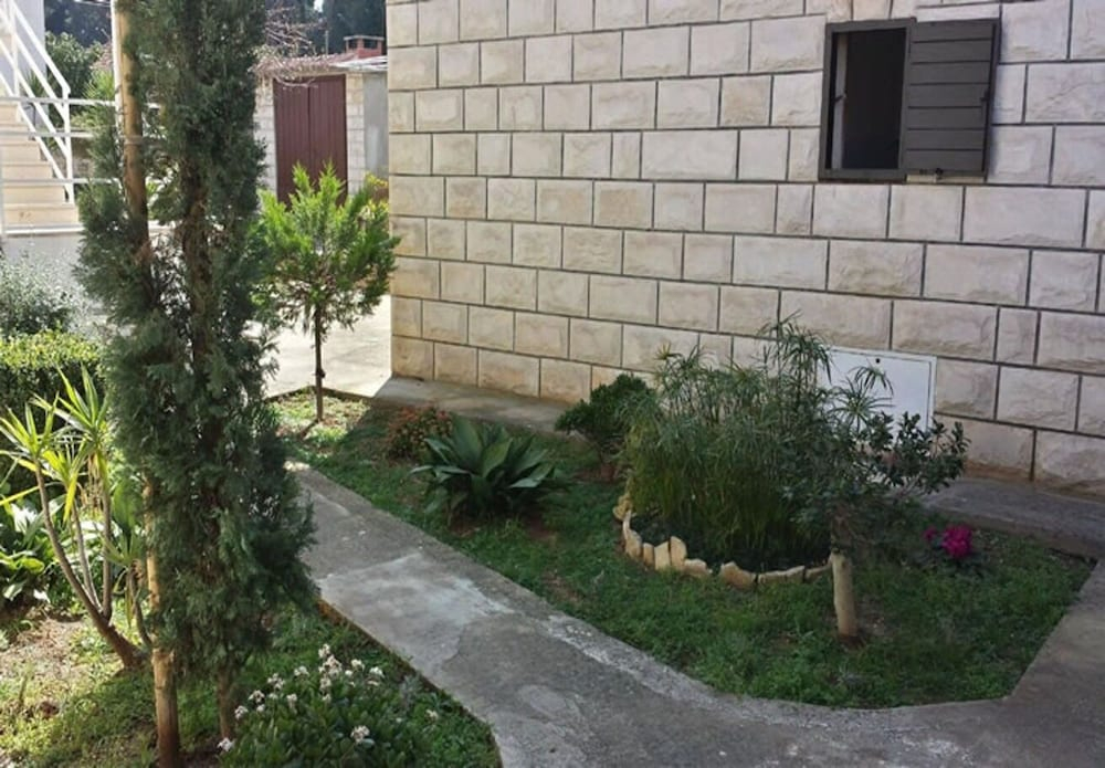 House Ivi