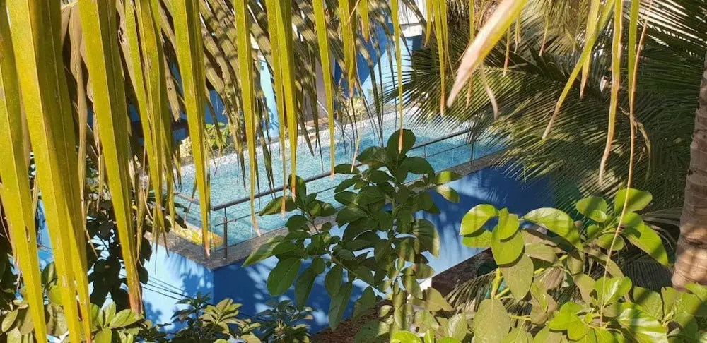 Beautiful Beachside House Goa 50 Meters From Beach