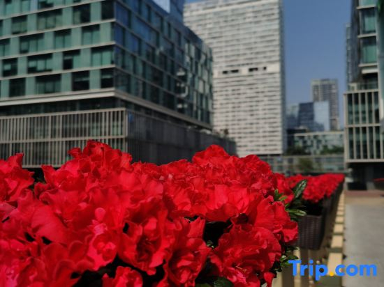 Ivy Service Apartment (Shenzhen Bay)