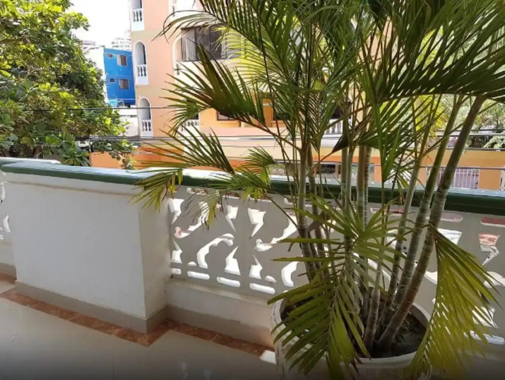 Hotel el Delfin