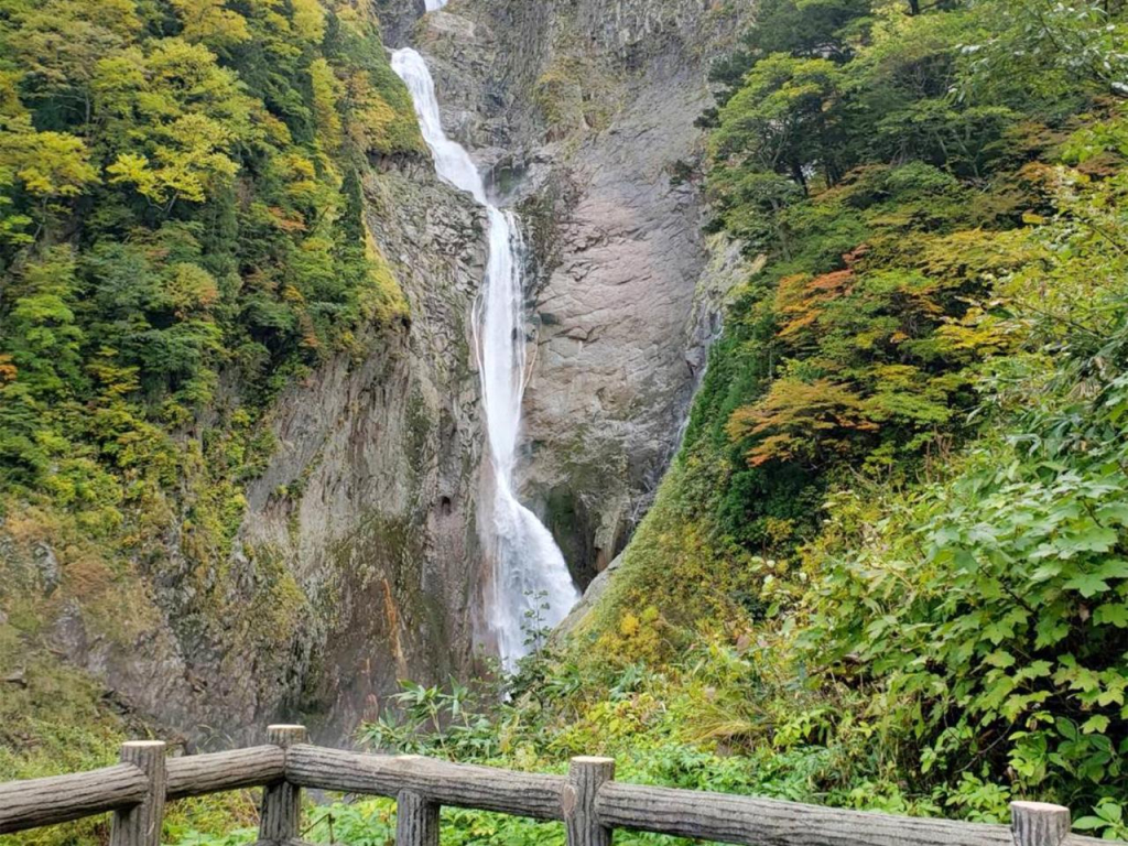 Senjusou