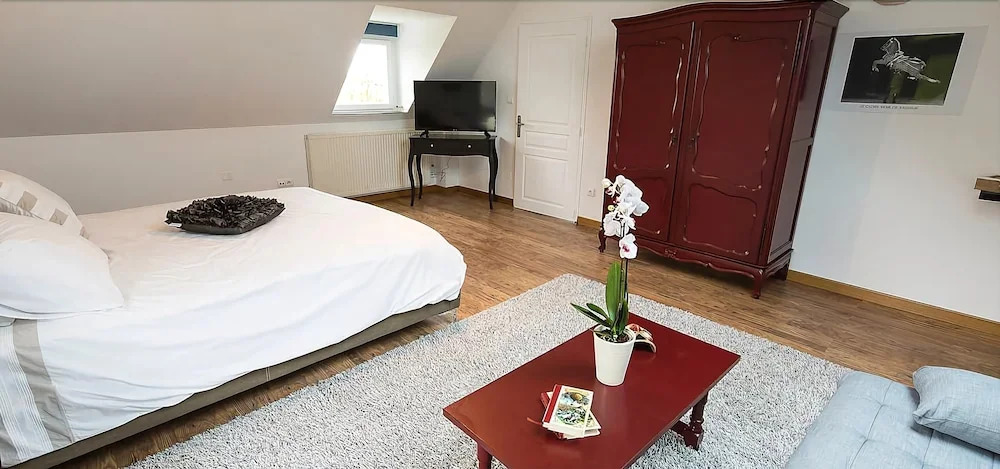 Chambres d'Hôtes La Grange Renaud (Climatisation)