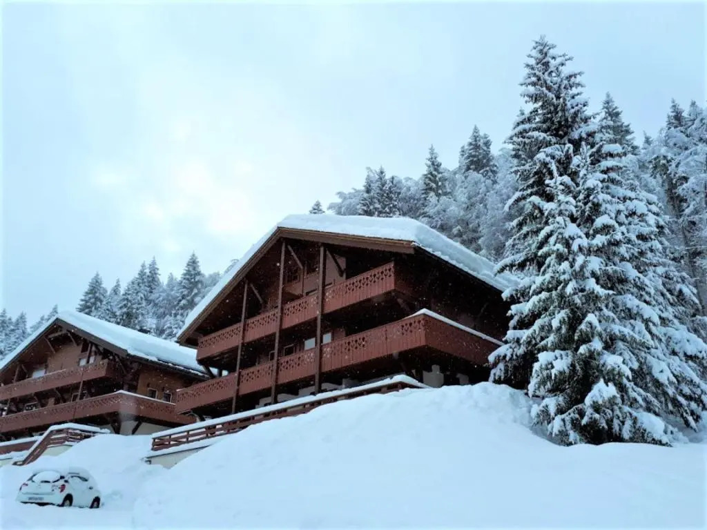 Appartement La Clusaz, 3 pièces, 6 personnes - FR-1-459-49