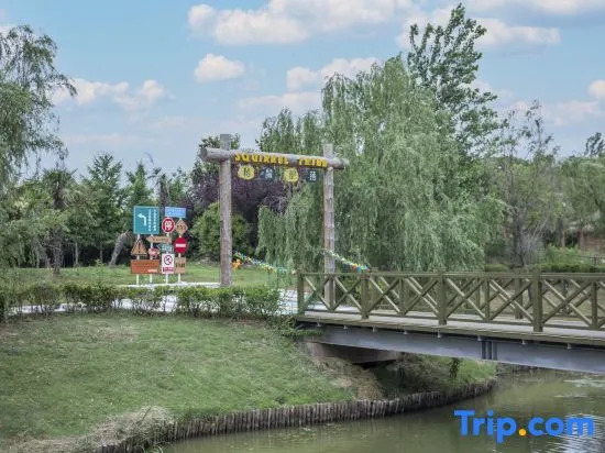 Wonderland Resort