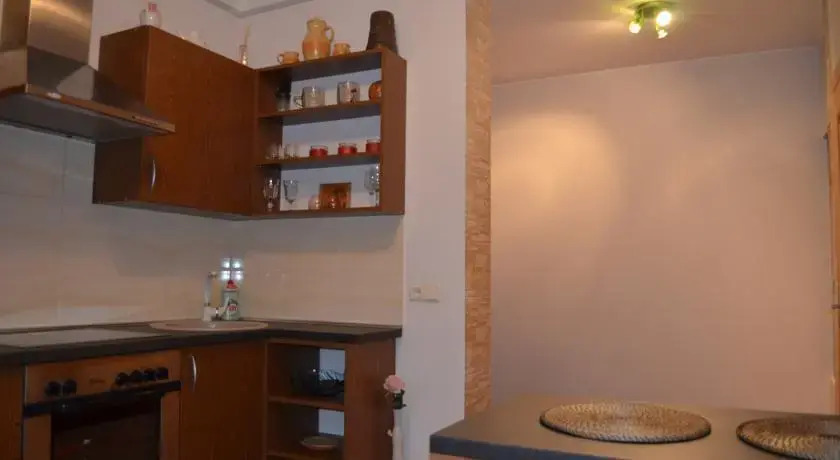Sofijos apartamentai Old Town
