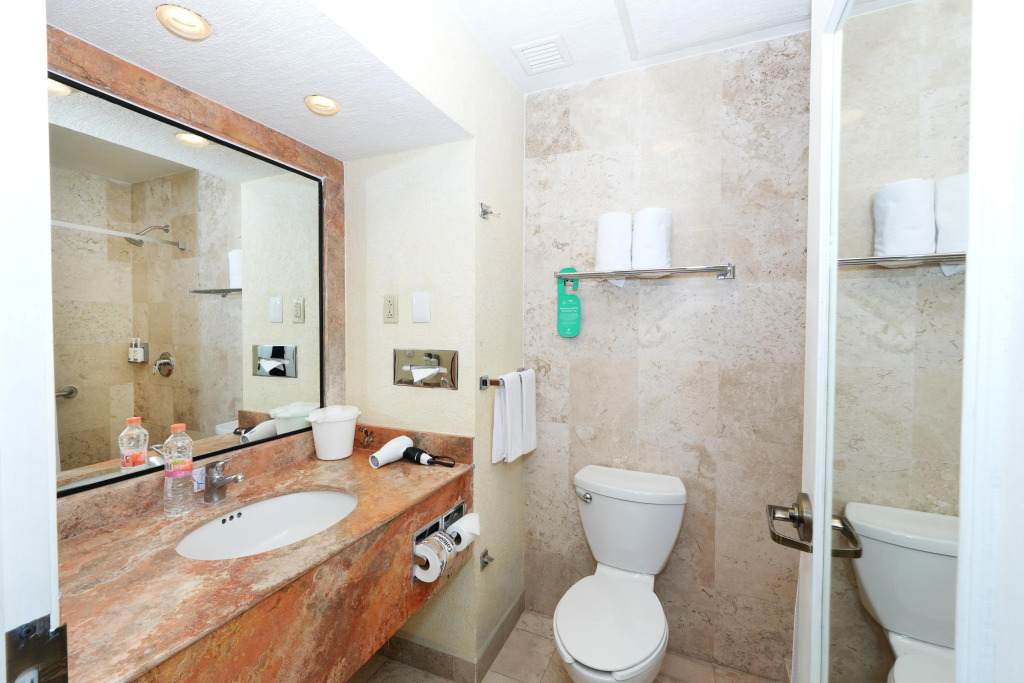 Holiday Inn Queretaro Centro Historico by IHG