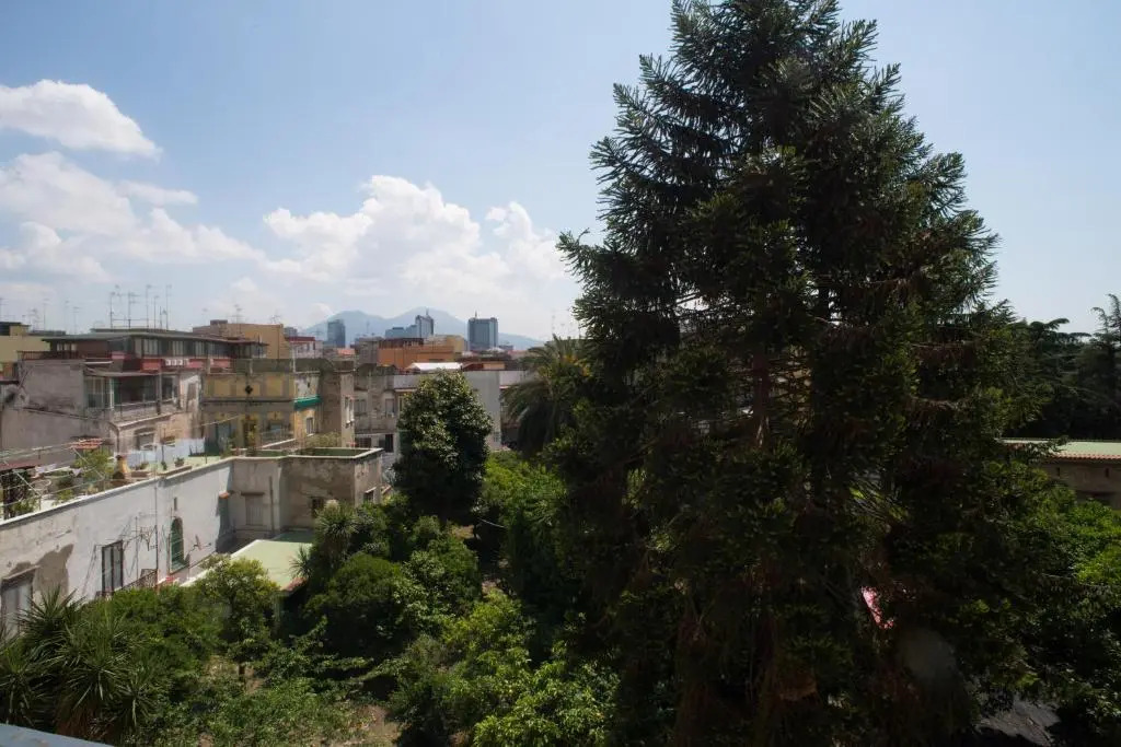 B&B Napolimilionaria Foria 242