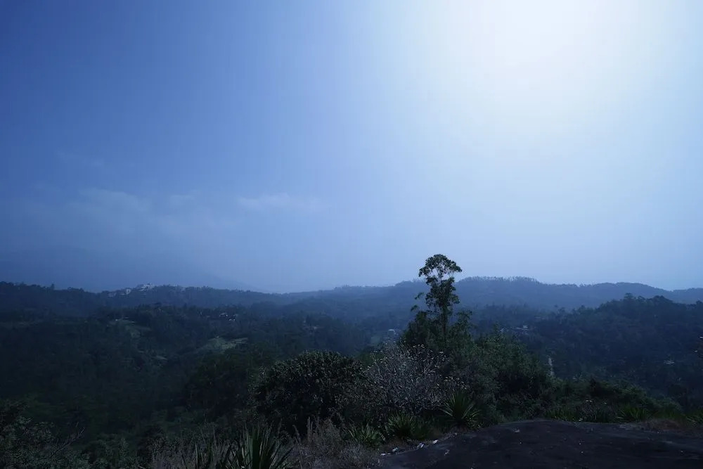 Munnar Breeze