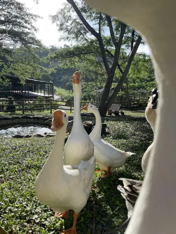 Hacienda Iluminada Eco Retreat