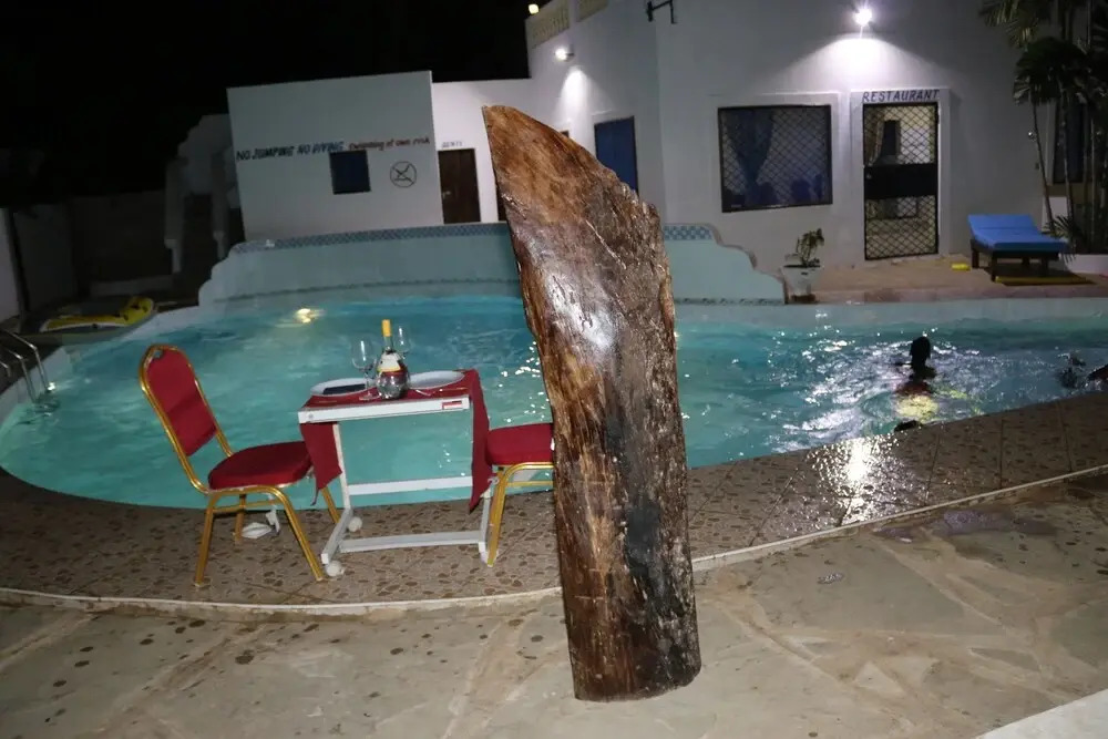 Room in Villa - A Wonderful Beach Property in Diani Beach Kenya, Dream Holiday Place
