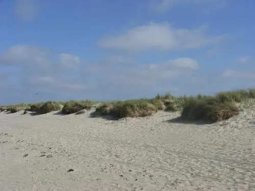 Wangeroogeweg 5a