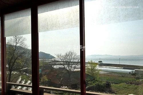 Ocean Deep Pension