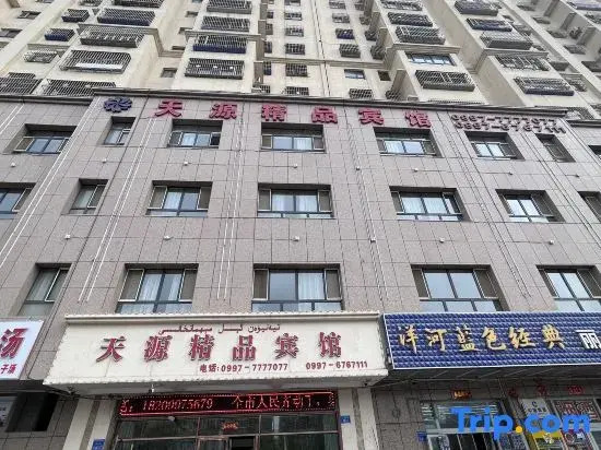 Tianyuan Boutique Hotel (Aksu Railway Station)
