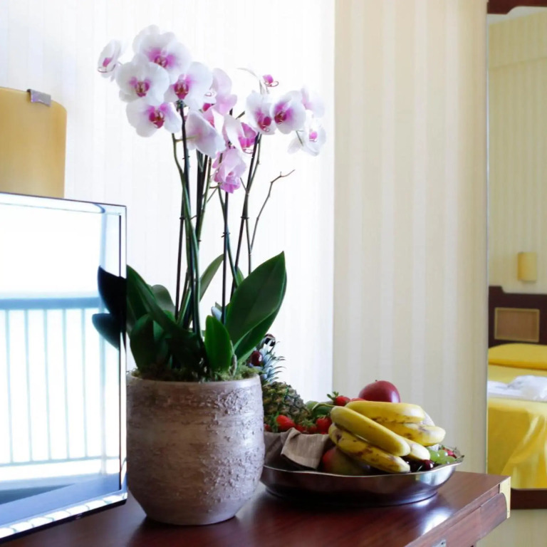 Mediterraneo Resort