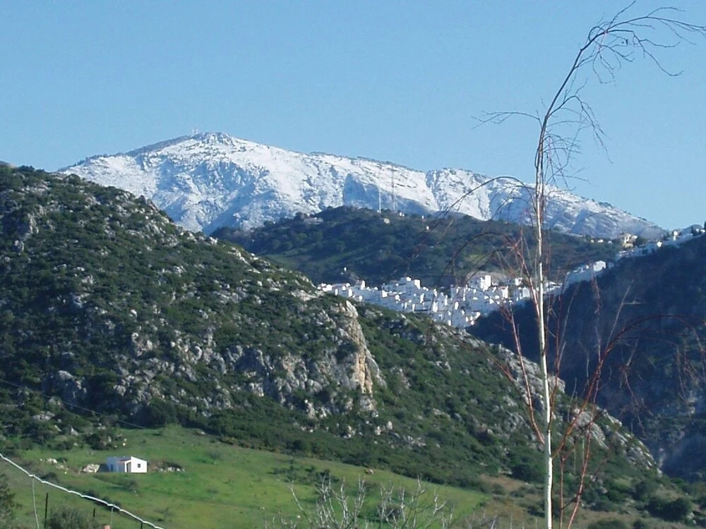 Heimahomes Casares Views
