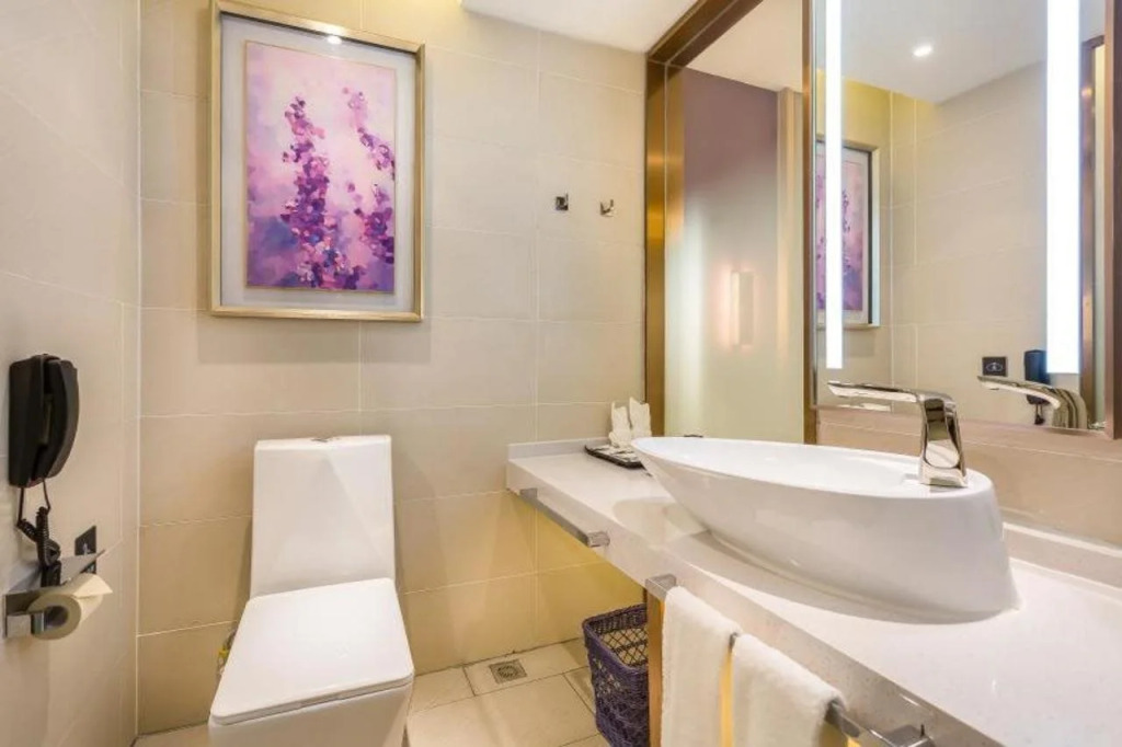 Lavande Hotels Langfang Municipal Government