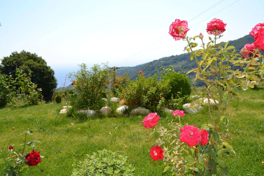 Guesthouse Kapaniaris