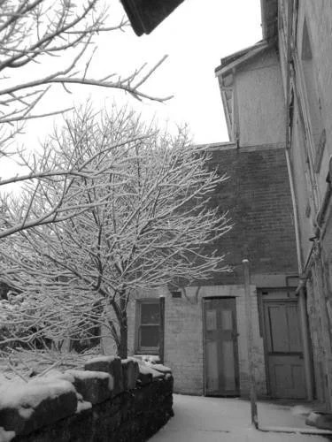 The Cecil Guesthouse