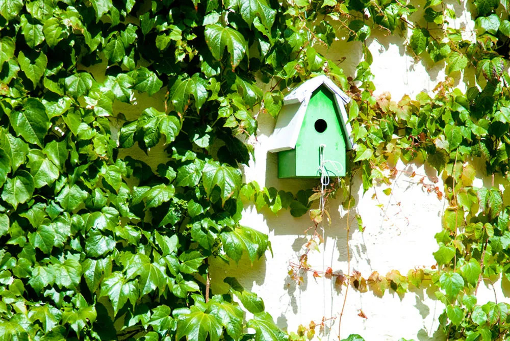 Guesthouse Maison de la Rose