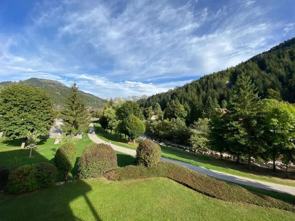 Appartement Le Grand-Bornand, 1 pièce, 3 personnes - FR-1-241-238