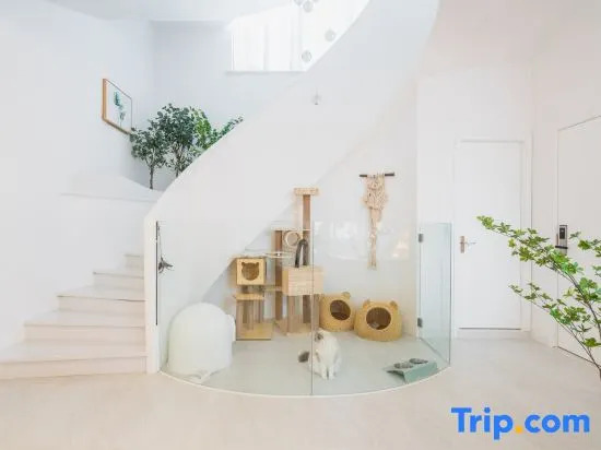 Shanghai Xinyu Homestay