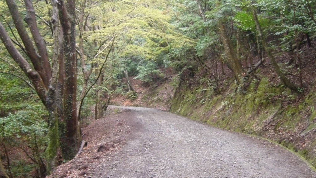 Hatago Hasegawa