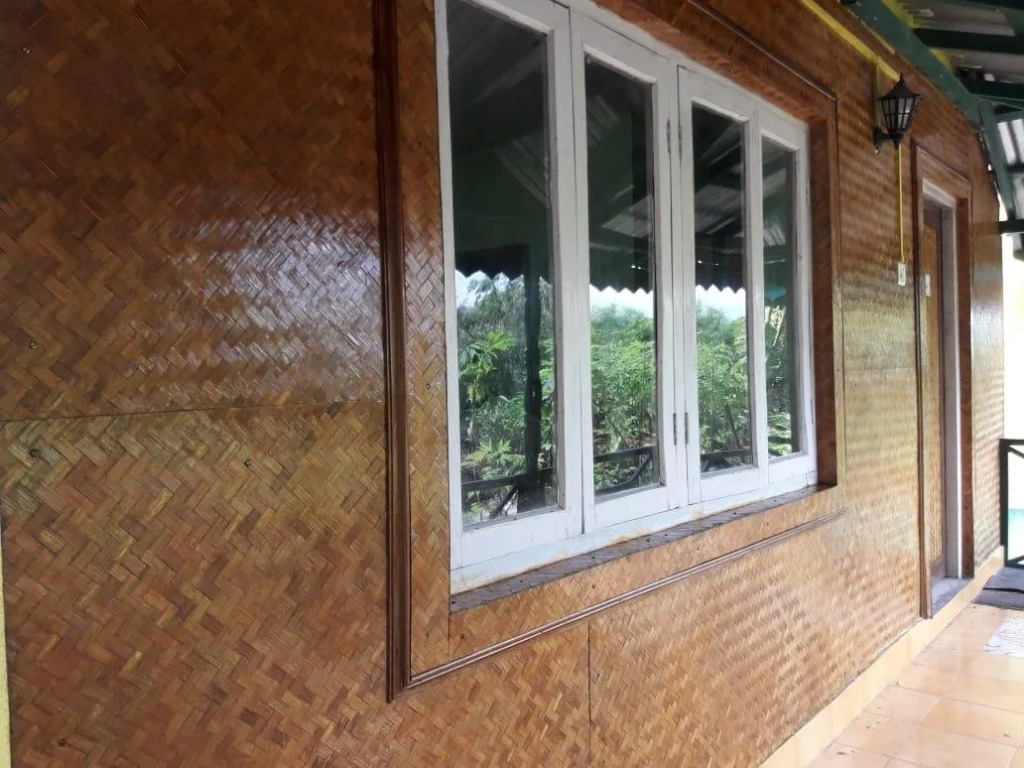 Green Tea Resort