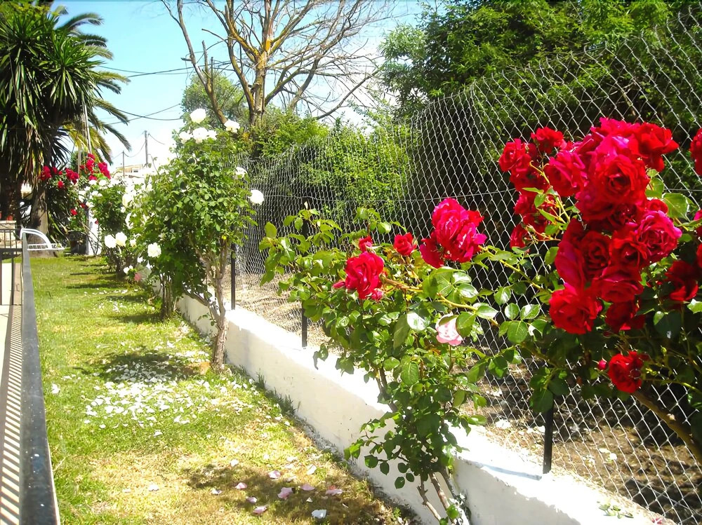 Maritsas Apartments