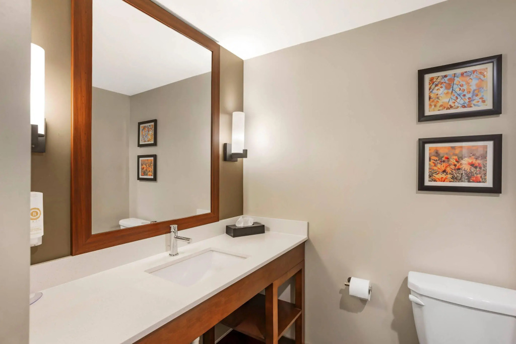 Comfort Inn & Suites Gap Amish Country