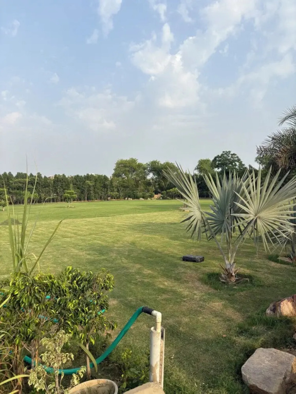 The Greenwood Farm And Lawn -Bijwasan