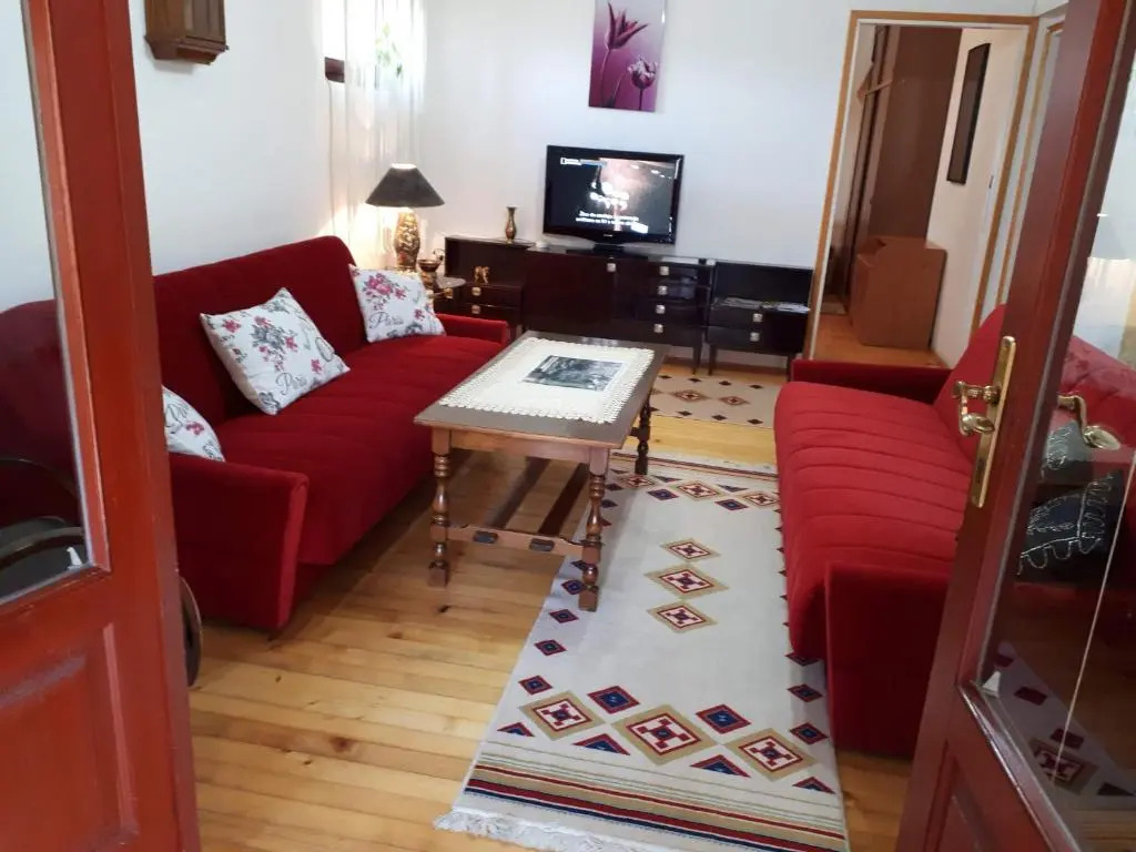 Apartment Borovi